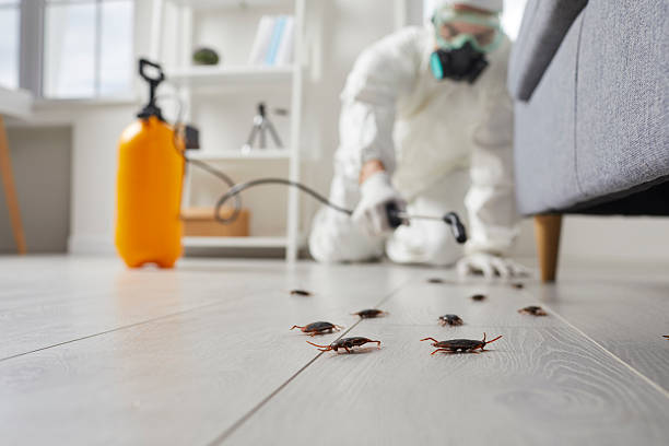 Commercial Kitchen Cockroach Control in Laurel Hollow